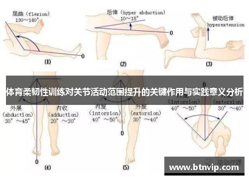 体育柔韧性训练对关节活动范围提升的关键作用与实践意义分析